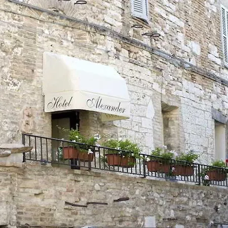 Hotel Alexander Asís