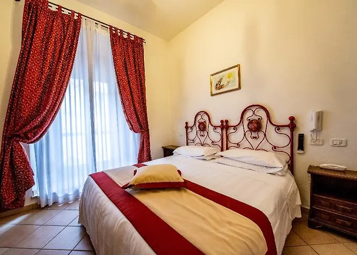 Alexander アッシジ